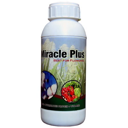 Miracle Plus