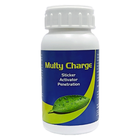 Multy Charge
